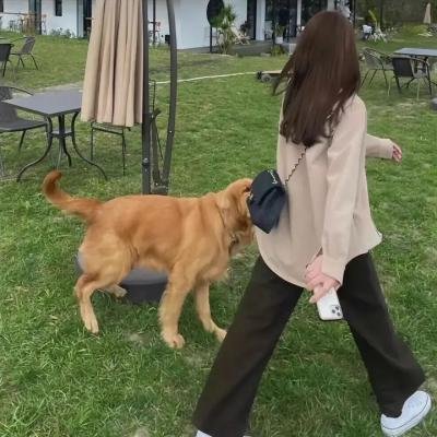 谈情说爱